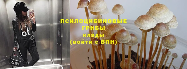 стафф Алзамай