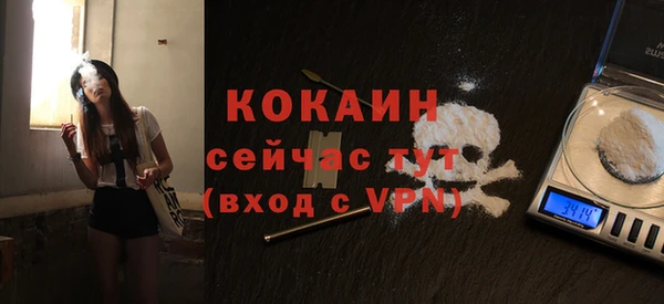 стафф Алзамай