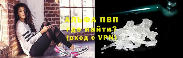 стафф Алзамай