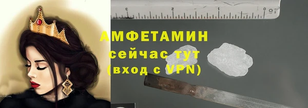 стафф Алзамай